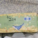 춤추는 고래 이미지