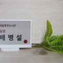 까치전자 이미지