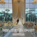 초화지 | [웨딩 후기] 아이폰스냅 - 뉘앙스 : AW컨벤션 본식 후기