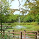 왕송못동로 이미지