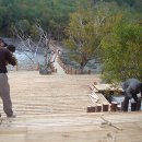 백두산정비 이미지