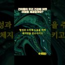 강화건어물 이미지