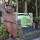 SK렌트카 이미지