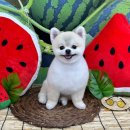 몽개구름 이미지