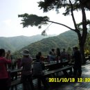 창호농장 이미지