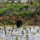 아름이농장 이미지