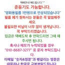 중앙칼라 이미지
