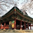 주-003-충혼탑입구4(회) | 2019 강릉 경포대 벚꽃축제, 일주일간의 해피엔딩 &amp; 초당순두부