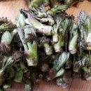 부여(외산)-9 이미지