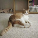 차림한식뷔페 이미지