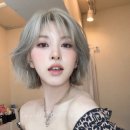 바닐라헤어 네이버블로그