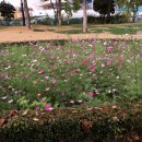 종합운동장(골프장) 이미지