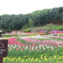 백련낚시터 이미지