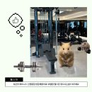 유온핏 휘트니스 신영통점 이미지