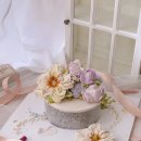메리디자인