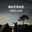 마이웨이 리조트 관광농원 | 예당관광농원 글램핑 수영장 디에이치 리조트 솔직 후기