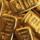 금보유전자 이미지