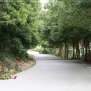 두륜산자락펜션 이미지