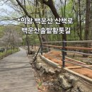 백운산 솔밭 앞 이미지