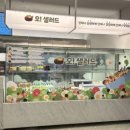 샐러드에 반하다 이미지