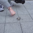 미문농장 서울경제