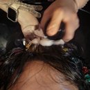 중앙헤어숍 | 위례미용실 | 준오헤어 가든위례중앙타워점 뿌리펌 후기, 자연스러운 볼륨 완성!