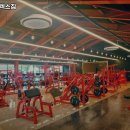 레드플렉스 짐 이미지