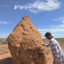 요숙&amp;미송의 호주여행 - 8회 - 카나본 엑스마우스 이미지