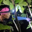 영암햇살농장 이미지