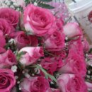 꽃순이삼겹살 이미지