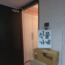 [일상] 마포 '브리스플랜트' 반려식물 가드닝 클래스 후기