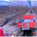 호랑이농장 이미지