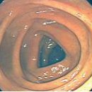 전주우리들병원 이미지