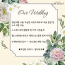 레이첼코드 | [드레스 투어] 09. 르네아뜰리에(구 레이첼) 피팅룸 피팅후기