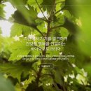 티씨 코리아 네이버블로그