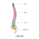 아산광혜병원 | 40만원 내고 MRI 찍었다 - 요추 5번 천추 1번/ 실비 보험/ 엑스레이/ 허리디스크