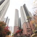 광명미트