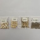애호박, 동과, 설악초, 머스크멜로 이미지