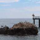 서구장애인협회 이미지