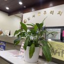 상록우리치과의원 이미지