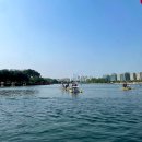 꽃의나라 | 고양국제꽃박람회 후기 실제 꽃 개화모습 장미원 수상꽃자전거 체험후기