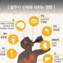 플랜 PT 네이버블로그