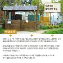 발도로프학교 이미지