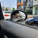 설성목장(대치점)