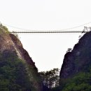 하늘보세