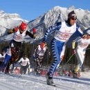 노르딕워킹 이미지