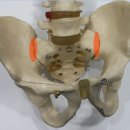 척척명의원 이미지