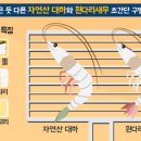 가락서비스