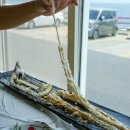 성산바다풍경 제주성산일출봉점 이미지