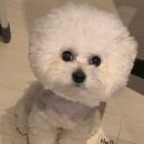 청라공감동물병원 이미지